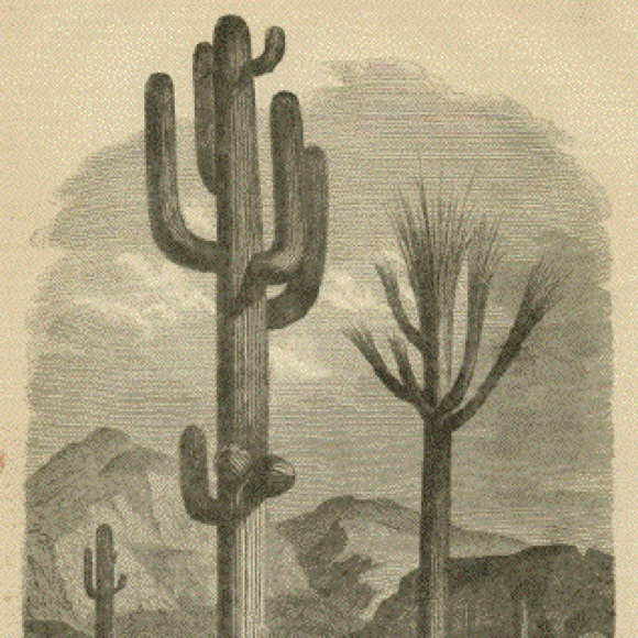 Meet your Posher, Pepper - Picture 2 of 2